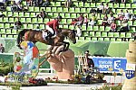 WEG1-SJ-Team1-9-3-14-0008513-KentFarrington-Voyeur-USA-DDeRosaPhoto