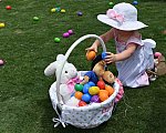IPC-Easter-4-16-17-5259-DDeRosaPhoto