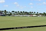 IPC-Polo-1-8-17-6296-DDeRosaPhoto