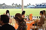 IPC-Polo-1-8-17-1805-DDeRosaPhoto